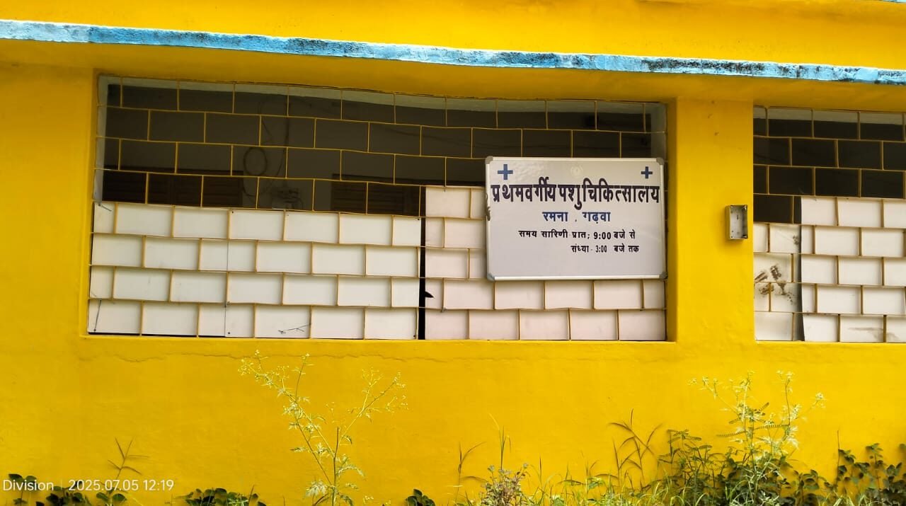 रमना प्रखंड क्षेत्र में पशुपालकों को दो वर्षों से पशुपालन हेतु दिया जा रहा है बढ़वा, पहले रहते पुलिस पदाधिकारी: डॉक्टर चौधरी