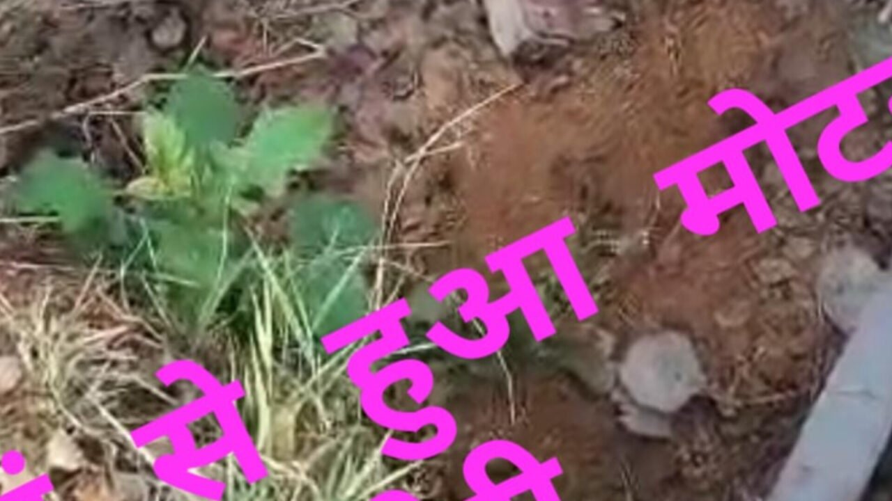 सिंचाई के लिए कुआं पर लगा बिजली मोटर पम्प हुई चोरी, किसान ने थाना में दिया आवेदन